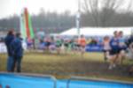 Rijen090301050092_small.jpg (3932 Byte)