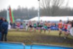 Rijen090301050094_small.jpg (3946 Byte)