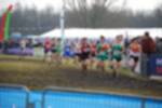 Rijen090301050097_small.jpg (3698 Byte)