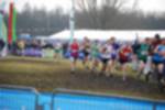 Rijen090301050099_small.jpg (3857 Byte)