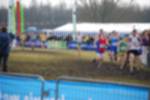 Rijen090301050100_small.jpg (3932 Byte)