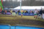 Rijen090301050102_small.jpg (3946 Byte)