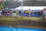 Rijen090301050103_small.jpg (3857 Byte)