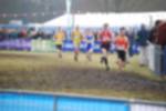 Rijen090301050106_small.jpg (3946 Byte)