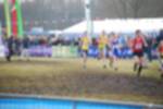 Rijen090301050107_small.jpg (3857 Byte)