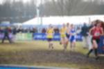 Rijen090301050109_small.jpg (3698 Byte)