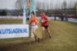 Rijen090301050111_small.jpg (3857 Byte)