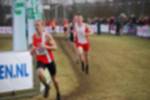 Rijen090301050124_small.jpg (3932 Byte)