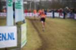 Rijen090301050129_small.jpg (3698 Byte)