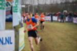 Rijen090301050131_small.jpg (3857 Byte)