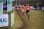 Rijen090301050132_small.jpg (3932 Byte)