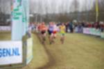 Rijen090301050136_small.jpg (3932 Byte)