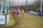 Rijen090301050137_small.jpg (3698 Byte)