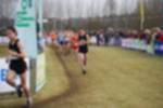 Rijen090301050140_small.jpg (3932 Byte)