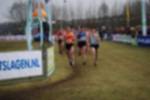 Rijen090301050151_small.jpg (3857 Byte)