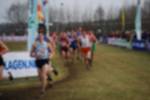 Rijen090301050153_small.jpg (3698 Byte)