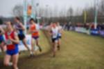 Rijen090301050159_small.jpg (3857 Byte)