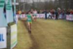 Rijen090301050171_small.jpg (3857 Byte)