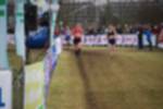 Rijen090301050176_small.jpg (3932 Byte)