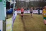 Rijen090301050177_small.jpg (3698 Byte)