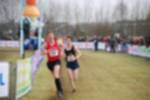 Rijen090301050178_small.jpg (3946 Byte)