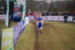 Rijen090301050187_small.jpg (3857 Byte)