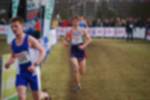 Rijen090301050189_small.jpg (3698 Byte)