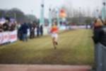 Rijen090301050206_small.jpg (3946 Byte)