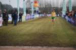 Rijen090301050295_small.jpg (3857 Byte)