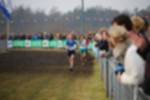 Rijen090301050375_small.jpg (3857 Byte)