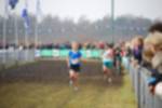 Rijen090301050376_small.jpg (3932 Byte)