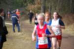 Rijen090301050428_small.jpg (3932 Byte)