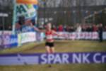 Rijen090301060112_small.jpg (3932 Byte)