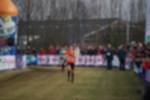 Rijen090301060107_small.jpg (3857 Byte)