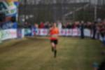 Rijen090301060129_small.jpg (3698 Byte)