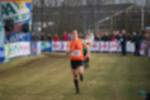 Rijen090301060131_small.jpg (3857 Byte)