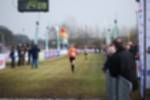 Rijen090301060132_small.jpg (3932 Byte)