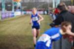 Rijen090301060145_small.jpg (3698 Byte)