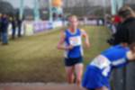 Rijen090301060146_small.jpg (3946 Byte)