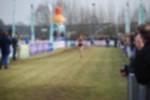 Rijen090301060157_small.jpg (3698 Byte)