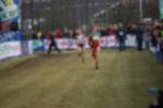 Rijen090301060167_small.jpg (3857 Byte)