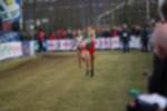 Rijen090301060168_small.jpg (3932 Byte)