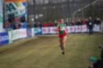 Rijen090301060169_small.jpg (3698 Byte)