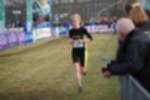 Rijen090301060187_small.jpg (3857 Byte)