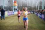 Rijen090301060213_small.jpg (3698 Byte)