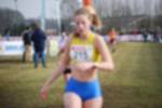 Rijen090301060214_small.jpg (3946 Byte)