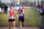 Rijen090301060216_small.jpg (3932 Byte)