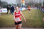 Rijen090301060217_small.jpg (3698 Byte)