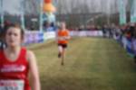 Rijen090301060218_small.jpg (3946 Byte)