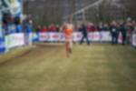 Rijen090301060221_small.jpg (3698 Byte)